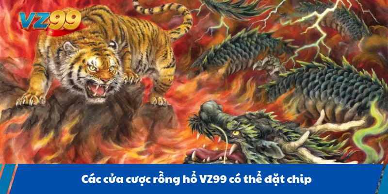 Các cửa cược rồng hổ VZ99 có thể đặt chip