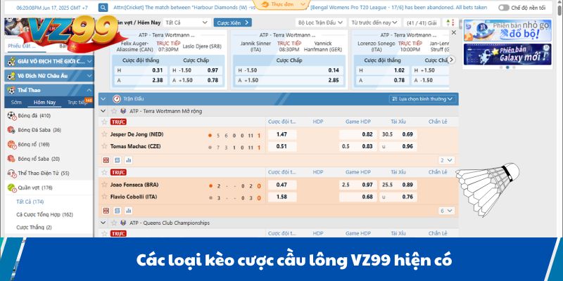 Các loại kèo cược cầu lông VZ99 hiện có