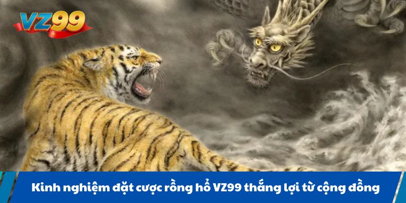 Kinh nghiệm đặt cược rồng hổ VZ99 thắng lợi từ cộng đồng